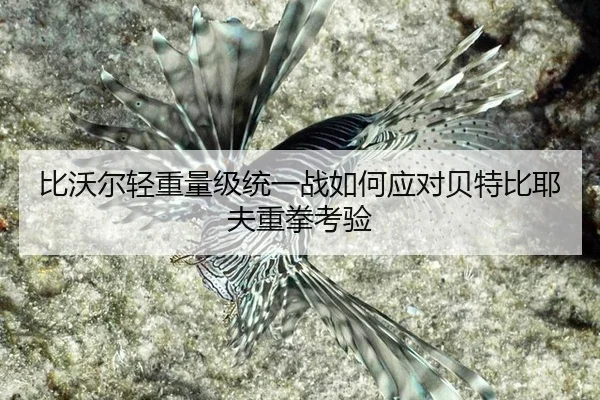 bi-wo-er-qing-zhong-liang-ji-tong-yi-zhan-ru-he-ying-dui-bei-te-bi-ye-fu-zhong-quan-kao-yan-2-423.jpg