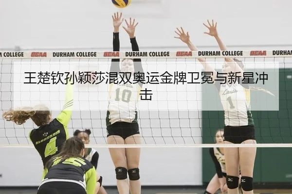 wang-chu-qin-sun-ying-sha-hun-shuang-ao-yun-jin-pai-wei-mian-yu-xin-xing-chong-ji-3-194.jpg