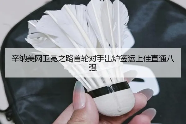 xin-na-mei-wang-wei-mian-zhi-lu-shou-lun-dui-shou-chu-lu-qian-yun-shang-jia-zhi-tong-ba-qiang-3-350.jpg