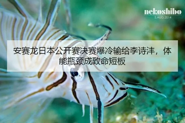 an-sai-long-ri-ben-gong-kai-sai-jue-sai-bao-leng-shu-gei-li-shi-feng-ti-neng-ping-jing-cheng-zhi-ming-duan-ban-2-845.jpg